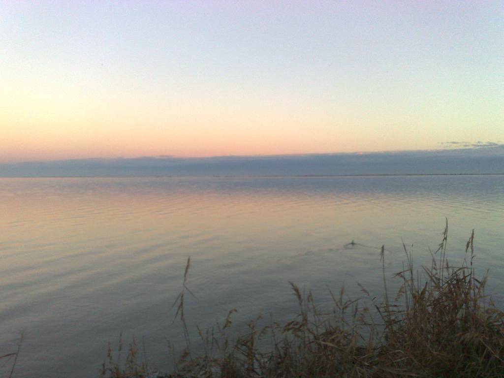 Al & Mare